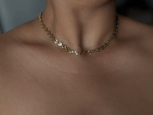 Collier Brooklyn🤍